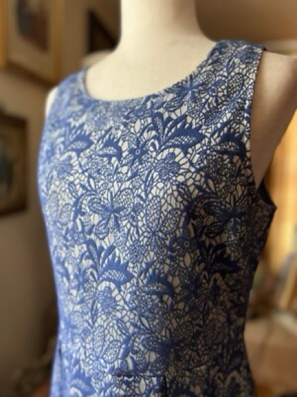 41 Hawthorn Blue Floral Lace Fit and Flare  Dress